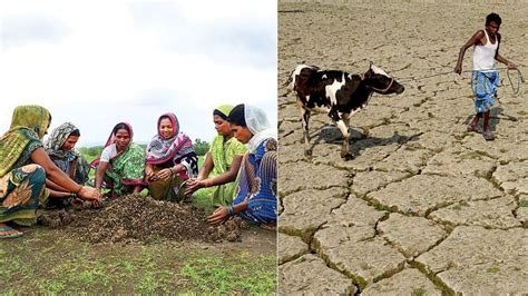 A Personal & Innovative Project Is Advocating For Climate Action ...