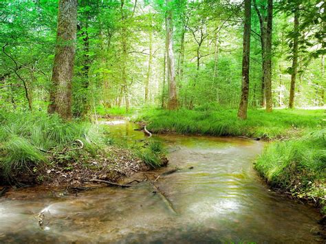 Nature 的图像结果
