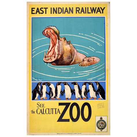 Original Vintage Asia Travel Poster Calcutta Zoo Hippo East Indian ...