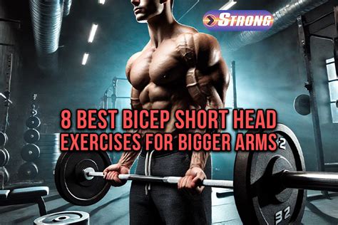 8 Best Bicep Short Head Exercises for Bigger Arms - Strong Supplement Shop