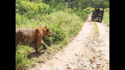 Karnataka: Karnataka dropping Bhimgad from ESZ upsets Goa | Goa News ...