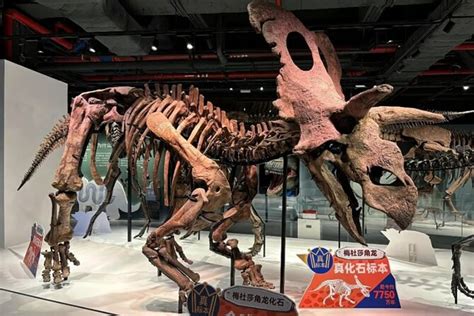 Guangzhou: Grandview Museum of Nature Science Ticket (with Reviews)