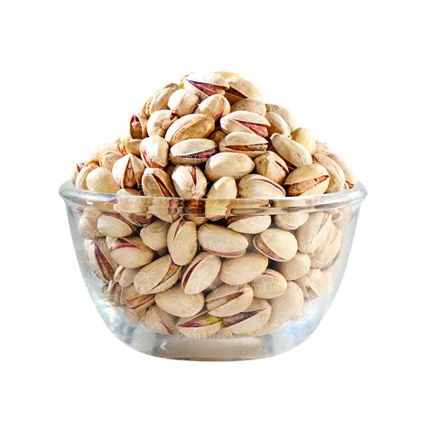 Pistachio / Pista – palmtreeshopping