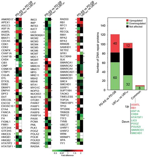 Proteomic Analysis Uncovers Enhanced Inflammatory Phenotype and ...