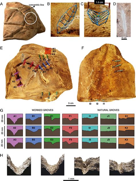 Middle Eastern Religions
