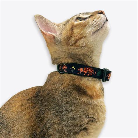 Royal Indian Tiger Collar For Cats – Mutt of Course