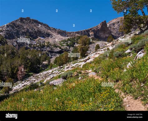 Island Lake Trail, Lamoile Canyon, Ruby Mountains near Elko, Nevada ...