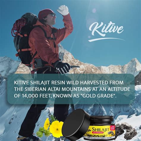 KITIVE Shilajit Pure Himalayan Organic-Pure Himalayan India | Ubuy