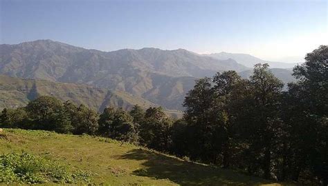 Chakrata in January 2026 : Weather, Best Places to Visit & Things to Do