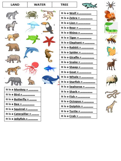 Animal Sports Worksheet 的图像结果