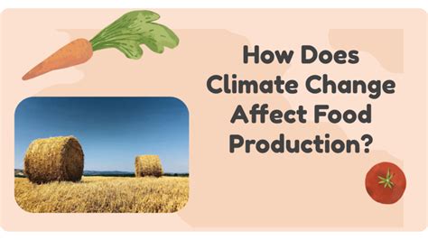 Food and Climate Change Guide For Middle School Students | SubjectToClimate