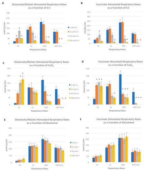 The Anticancer Agent Elesclomol Has Direct Effects on Mitochondrial ...