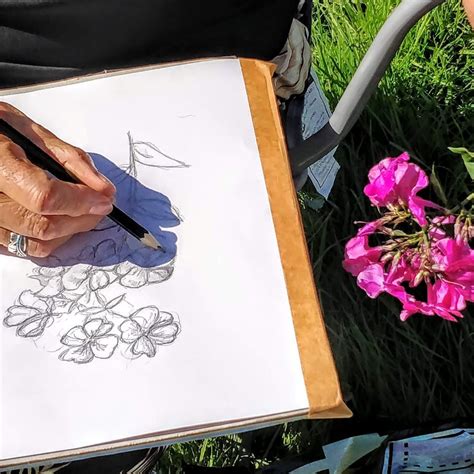 Botanical Drawing for Beginners Workshop, Petworth House and Park ...