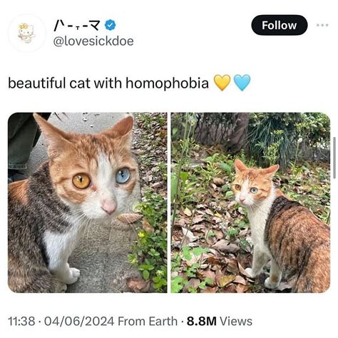 Memes | Definition of cuteness | Instagram