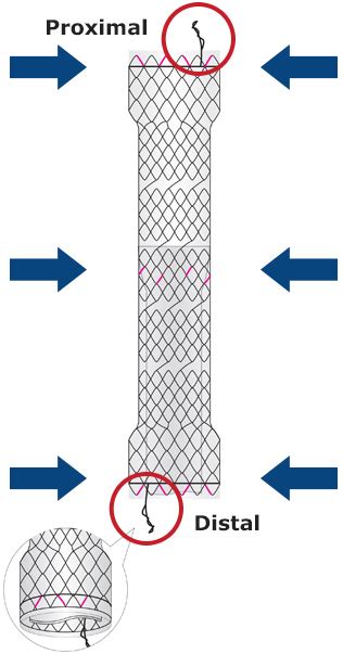 AusAsia Lifesciences