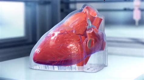 Chicago-Based Company Claims To Successfully Create A Human Heart By ...