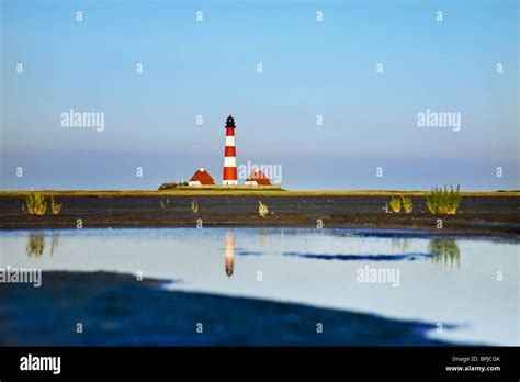 Image result for Full-Stack Web Development Animation. Design Pictures