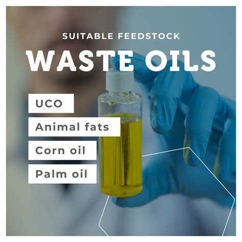 BDI-BioEnergy International GmbH على LinkedIn: The unique feedstock ...