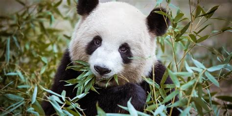 Landal | Forest Resort Your Nature | Surroundings