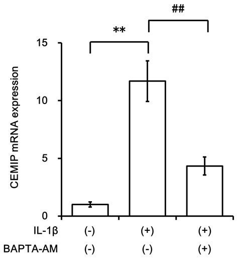 Induction of CEMIP in Chondrocytes by Inflammatory Cytokines ...