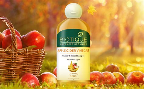 Buy Biotique Apple Cider Vinegar Hair Shampoo, for All Hair Types ...