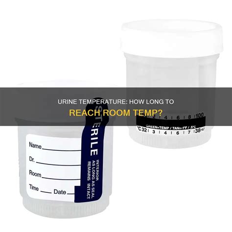 Urine Temperature: How Long To Reach Room Temp? | MedShun