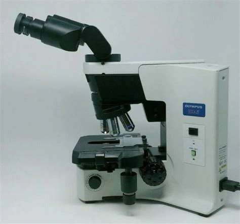 Image result for Course Focus Microscope Function