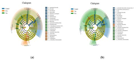 16S rRNA Sequencing Reveals the Antibacterial Effect of Omega-3 (Fish ...