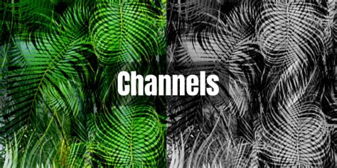 Image result for Photoshop Channels Tutorial