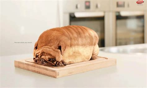 Fun Ad Ideas for Business Promo 的图像结果