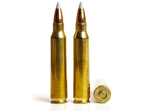 Coyote Cartridges: .223 Rem. Vs. .22-250 Rem. Vs. .243 Win.