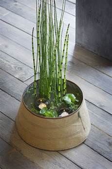 plante d eau mini bassin original pour plantes aquatiques plante d eau mini bassin original pour plantes aquatiques