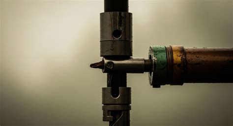 What Is the Mechanism by Which Ozone Causes Inflammation in the Lungs? → Learn