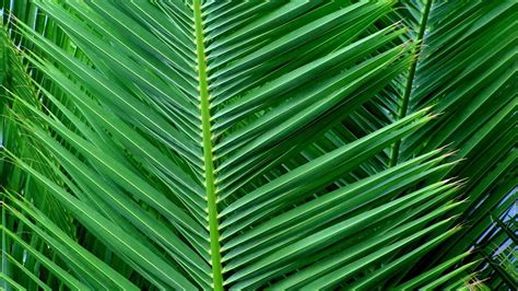 Tropical Escape Week, 211 America Ave NW, Bemidji, MN, United States ...