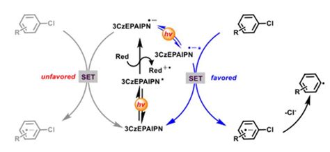 Visible-Light Photocatalytic Reduction of Aryl Halides as a Source of ...