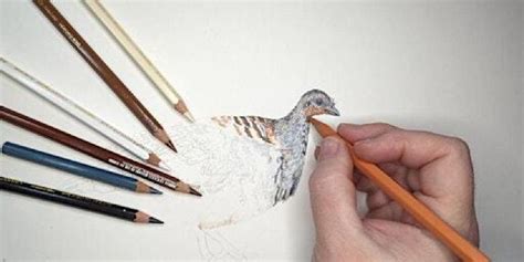 Adult Workshop: Drawing a conversation with nature with artist Ronelle ...