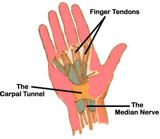 Hand Exercises for RSI 的图像结果