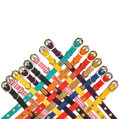 Cat Collars – PetWale