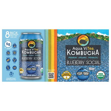 Aqua ViTea Blueberry Social Kombucha (12 fl oz) Delivery or Pickup Near ...