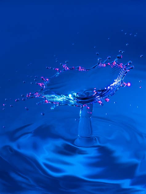 Image result for Color Splash Photography