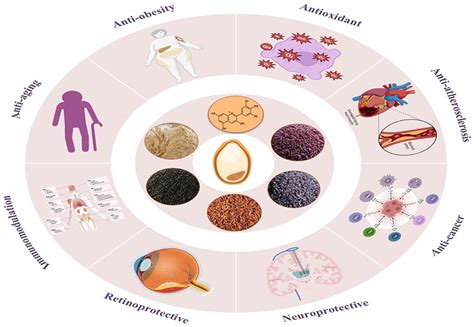Occurrence, Biosynthesis, and Health Benefits of Anthocyanins in Rice ...