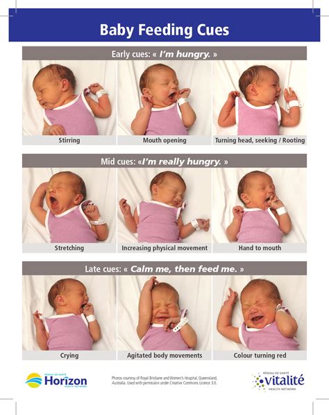 Online Learning: Early Nutrition - Horizon Health Network