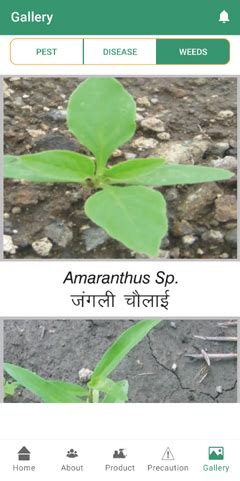 Insecticides (India) Ltd (IIL) APP