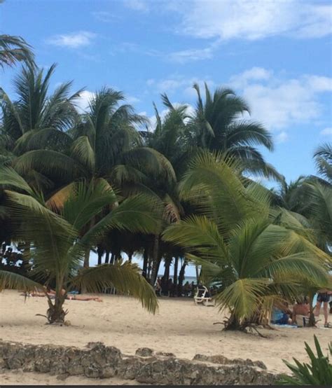 BELLEVUE DOMINICAN BAY (Boca Chica, Dominican Republic) - Hotel Reviews ...