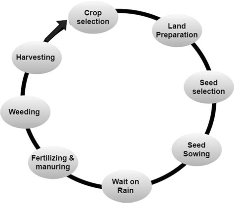 Agriculture Process 的图像结果