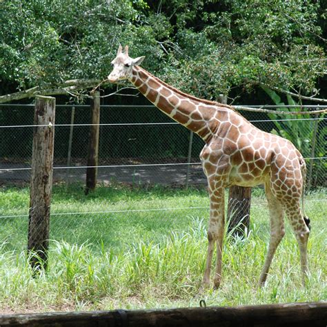 ZOOLOGICO DR. JUAN A. RIVERO (2025) All You Need to Know BEFORE You Go ...