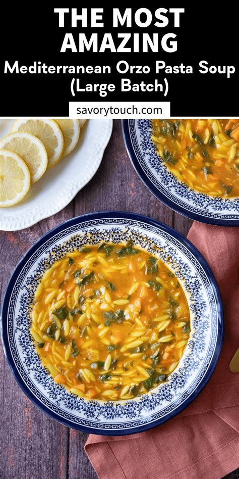 Mediterranean Orzo Pasta Soup (Large Batch) | Savory Touch