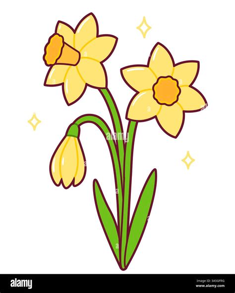 Daffodil flowers bouquet, cute simple springtime drawing. Cartoon ...