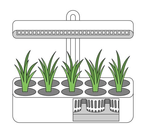 Image result for Hydroponic System Designs