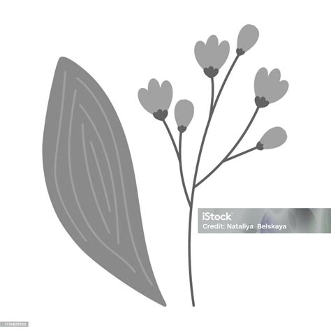 Image result for Java Shape Example